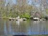 St James Park (13)