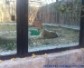 Gradina Zoologica Bucuresti