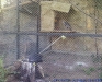 Gradina Zoologica Bucuresti