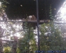 Gradina Zoologica Bucuresti