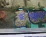 Gradina Zoologica Bucuresti
