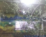 Gradina Zoologica Bucuresti