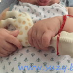 Prietena primilor dinti – Girafa Sophie